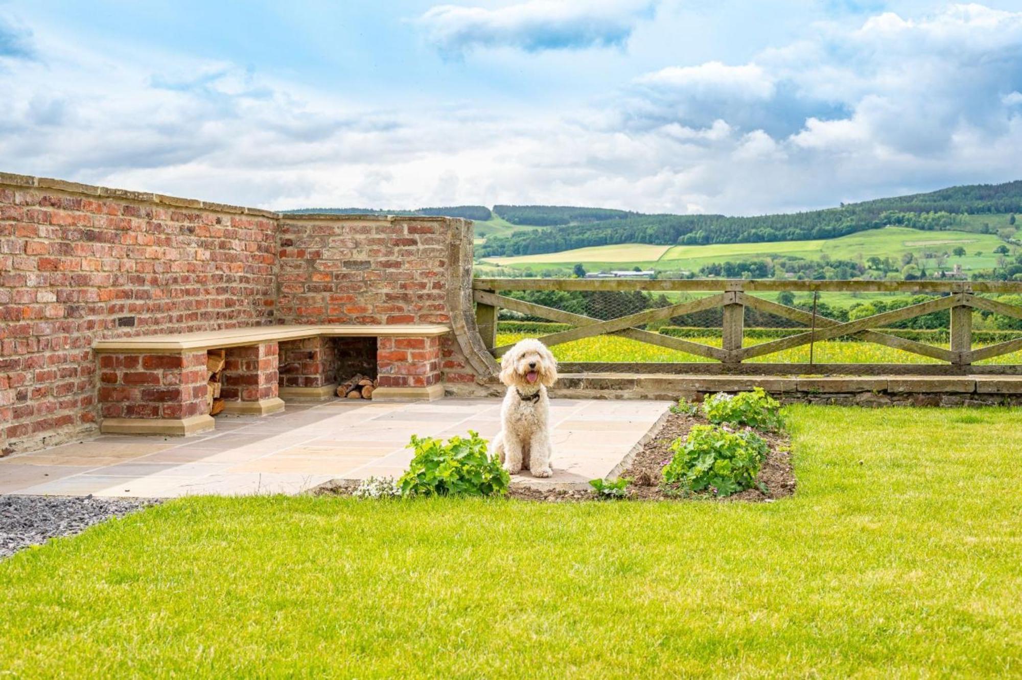 Hollins Farmhouse Leyburn Exterior foto
